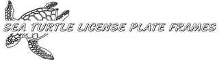 SEA TURTLE LICENSE PLATE FRAMES logo