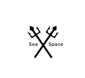 SEA X SPACE logo