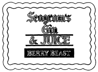 SEAGRAM'S GIN & JUICE BERRY BEAST