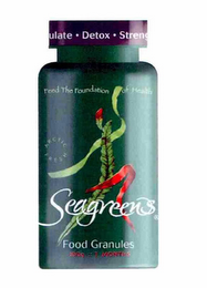 SEAGREENS FEED THE FOUNDATION OF HEALTH FOOD GRANULES DETOX logo