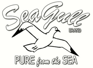 SEAGULL BRAND PURE FROM THE SEA logo