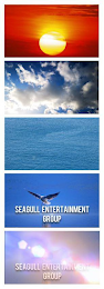 SEAGULL ENTERTAINMENT GROUP logo