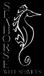 SEAHORSE WELL SERVICES