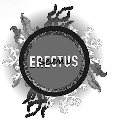 SEAMO ERECTUS logo