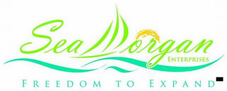 SEAMORGAN ENTERPRISES FREEDOM TO EXPAND logo