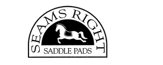 SEAMS RIGHT SADDLE PADS logo