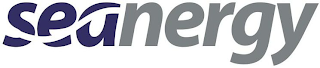 SEANERGY logo