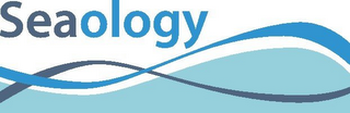 SEAOLOGY logo