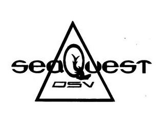 SEAQUEST DSV logo