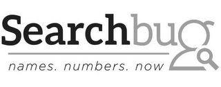 SEARCHBUG NAMES. NUMBERS. NOW logo