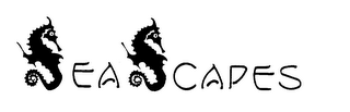 SEASCAPES logo