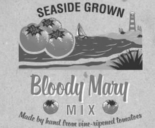 SEASIDE GROWN BLOODY MARY MIX MADE BY HAND FROM VINE-RIPENED TOMATOES logo