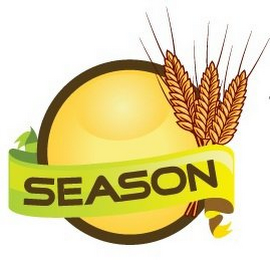 SEASON logo