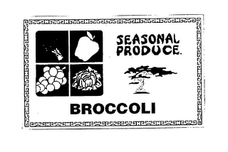 SEASONAL PRODUCE BROCCOLI logo