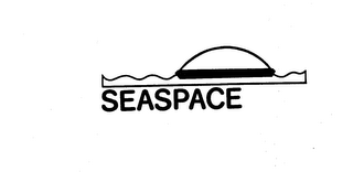 SEASPACE logo