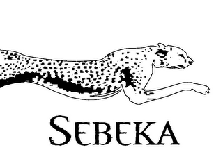 SEBEKA logo
