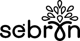SEBRYN logo