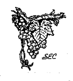SEC logo