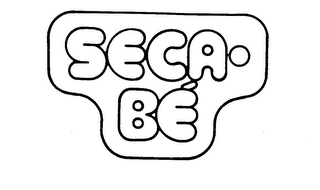SECA-BE logo