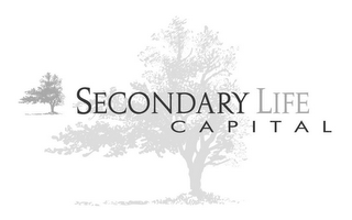 SECONDARY LIFE CAPITAL logo
