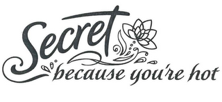 SECRET BECAUSE YOU'RE HOT logo