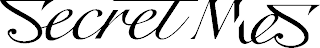 SECRET MES logo