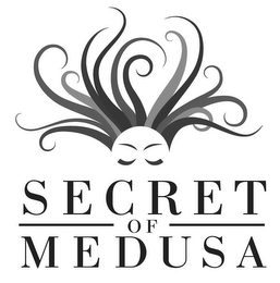SECRET OF MEDUSA logo