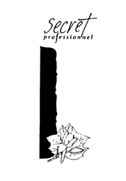 SECRET PROFESSIONNEL logo