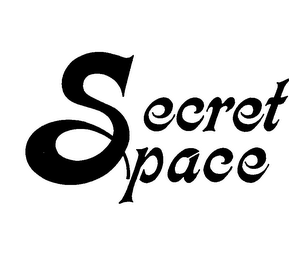 SECRET SPACE logo