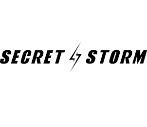 SECRET STORM logo