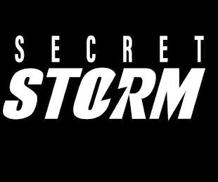 SECRET STORM logo