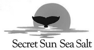 SECRET SUN SEA SALT logo