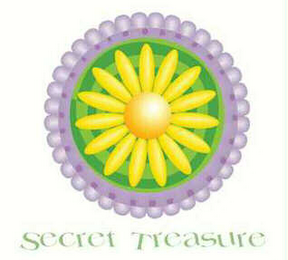 SECRET TREASURE logo