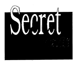 SECRET WOMAN logo