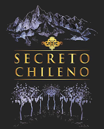 SECRETO CHILENO logo
