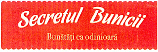 SECRETUL BUNICII BUNATATI CA ODINIOARA logo