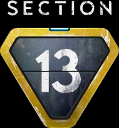 SECTION 13 logo