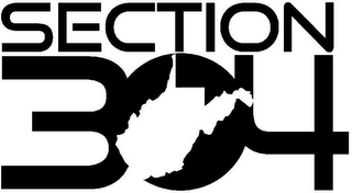 SECTION 304 logo