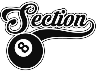 SECTION 8 logo