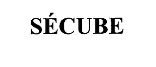 SECUBE logo