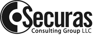 SECURAS CONSULTING GROUP LLC logo