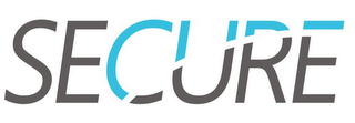 SECURE logo