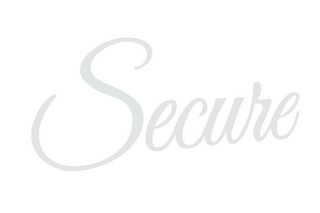 SECURE logo
