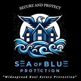 SECURE AND PROTECT SEA OF BLUE PROTECTION "WIDESPREAD REAL ESTATE PROTECTION" logo