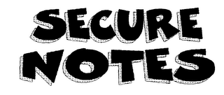 SECURE NOTES logo