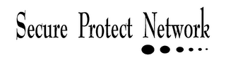 SECURE PROTECT NETWORK logo