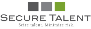 SECURE TALENT SEIZE TALENT. MINIMIZE RISK. logo