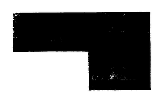 SECURITYWEAR STYLISH GARMENTS DESIGNED BY THE DEMANDS OF THE TIMES logo