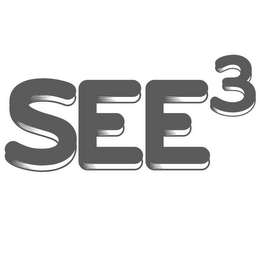 SEE 3 logo