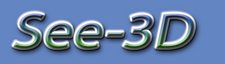 SEE-3D logo